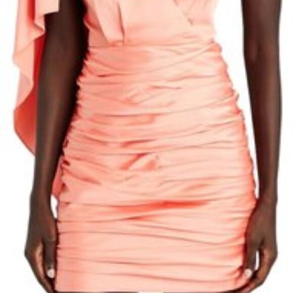 Ronny Kobo Collection Coral Morgan Ruched Cocktail Dress - Picture 6 of 12